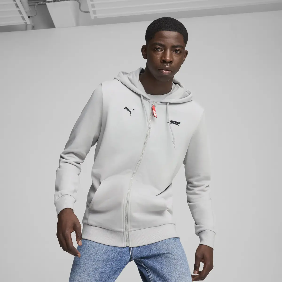 Puma F1 ESS Full-Zip Hoodie Gri Erkek Hoodie