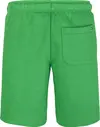 Tommy Hilfiger TOMMY FLAG HILFIGER, L13 Yeşil Erkek Çocuk Şort