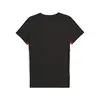 Puma GSK EVOSTRIPE Tee Siyah Erkek T-Shirt