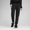 Puma ESS Small No. 1 Logo Sweatpants TR cl Siyah Kadın Eşofman Altı