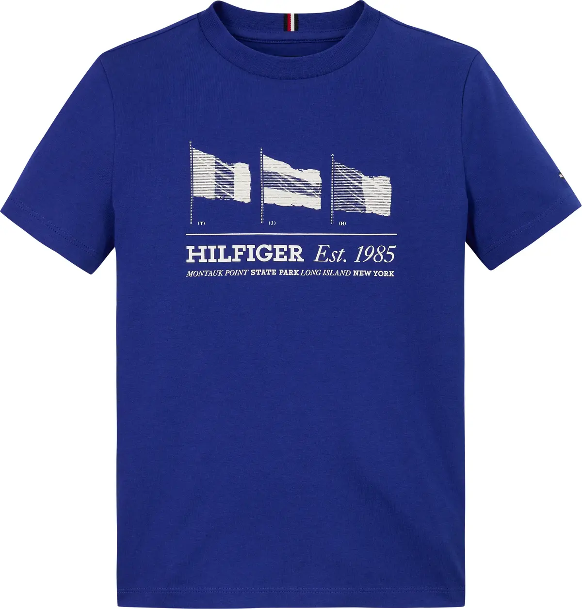 Tommy Hilfiger WAVING FLAG REG TEE, D03 Lacivert Erkek Çocuk T-Shirt & Polo
