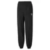 Puma Classics Sweatpants Tr Siyah Kadın Eşofman Altı