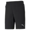 Puma Evostripe Shorts Siyah Erkek Şort