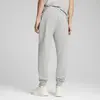 PUMA ESS ELEVATED Pants TR cl Gri Erkek Eşofman Altı