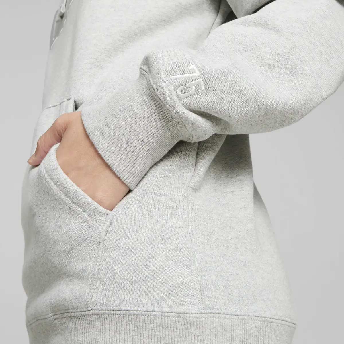 Puma NO.1 LOGO Hoodie Gri Unisex Hoodie