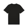 Puma GSK FtblESS Tee GALATASARAY FtblESSENTIALS Erkek Tişört