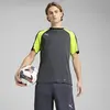Puma IndividualLIGA Jersey Gri Erkek Forma
