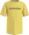 Calvin Klein INSTITUTIONAL T-SHIR Erkek Sarı T-Shirt