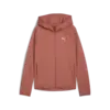 EVOSTRIPE Full-Zip  Hoodie