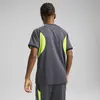 Puma individualLIGAGraphic Jsy jr Unisex Sweatshirt