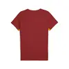 Puma GSK EVOSTRIPE Tee Kırmızı Erkek T-Shirt