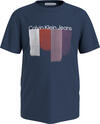 Calvin Klein PLACED BRUSHSTROKES Erkek Mavi T-Shirt