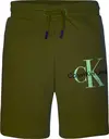 Calvin Klein GLOW IN THE DARK LOG Erkek Sarı Şort
