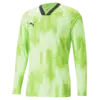 Puma teamTarget GK LS Jersey Yeşil Kaleci Uzun Kollu Forma