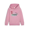 Puma X TROLLS Hoodie Pembe Erkek Sweatshirt