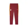 Puma GSK EVOSTRIPE Pants Kırmızı Erkek Eşofman Altı