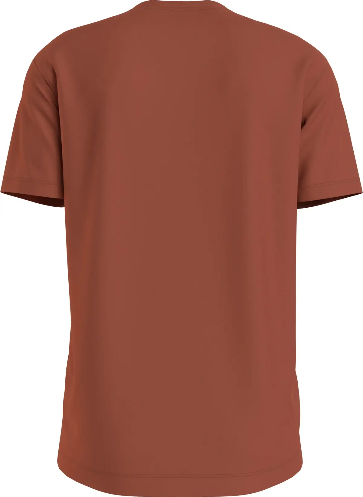 Calvin Klein COLOR MONOGRAM GRAPH Erkek Kahverengi T-Shirt