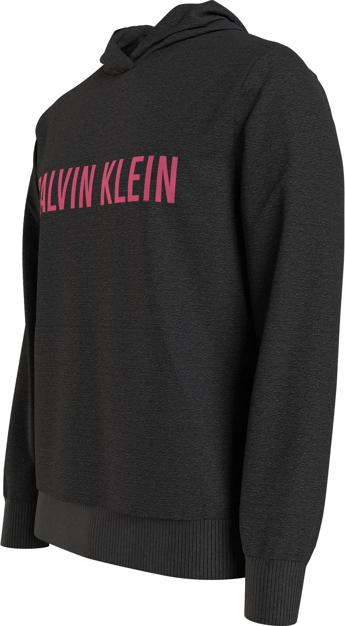 Calvin Klein L/S HOODIE Erkek Siyah Hoodie