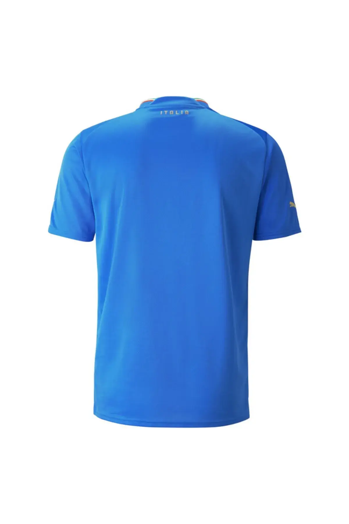 Puma Fıgc İç Saha Forması Ignite Blue Erkek Takım Forması