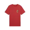 PUMA WARDROBE ESS Graphic Tee Kırmızı Erkek T-Shirt