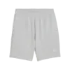 Puma ESS ELEVATED Shorts 9" TR Gri Erkek Şort