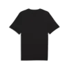 Puma GRAPHIC Tee Siyah Erkek T-Shirt & Polo