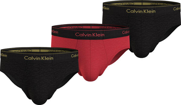 Calvin Klein HIP BRIEF 3PK Erkek Siyah Slip Set