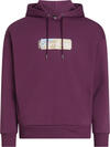 Calvin Klein LAYERED GEL LOGO HOO Erkek Pembe Hoodie