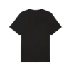Puma CLASS Graphic Tee Siyah Erkek T-Shirt & Polo