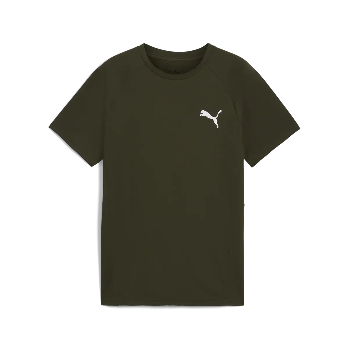 Puma EVOSTRIPE Tee Yeşil Erkek T-Shirt