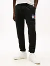 TJM SLIM RWB FLAG SW, BDS