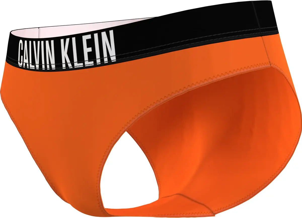Calvin Klein CLASSIC BIKINI Kadın Turuncu Bikini Altı