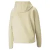 Puma EVOSTRIPE Hoodie