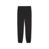 Puma F1 ESS Sweatpants Siyah Erkek Eşofman Altı