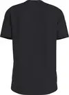 Calvin Klein COLOR MONOGRAM GRAPH Erkek Siyah T-Shirt