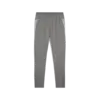 Puma teamCUP Training Pants Gri Erkek Eşofman Alt