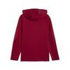 Puma GSK EVOSTRIPE Hooded Jacket GALATASARAY EVOSTRIPE Erkek Ceket