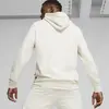 Puma BETTER ESSENTIALS Hoodie TR Bej Erkek Sweatshirt