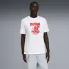 Puma GRAPHIC Tee Beyaz Erkek T-Shirt