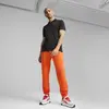 Puma F1 ESS Logo Polo Siyah Erkek T-Shirt