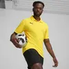 Puma teamGOAL Polo Sarı Polo T-Shirt