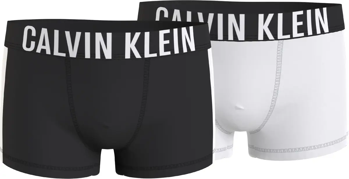 Calvin Klein 2PK TRUNK Erkek Siyah Boxer Set