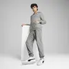 Puma ESS Full-Zip Hoodie Gri Erkek Hoodie