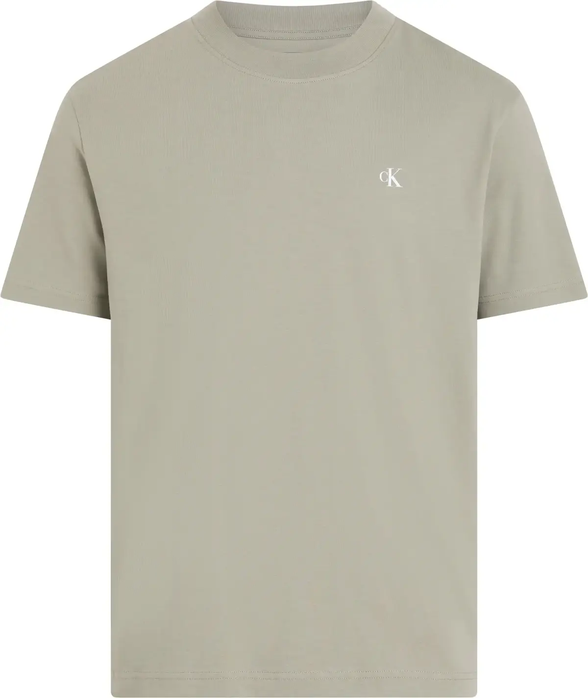 Calvin Klein PAINTED CALVIN KLEIN, PCZ Yeşil Erkek T-Shirt & Polo