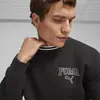Puma SQUAD Crew TR Siyah Erkek Sweatshirt