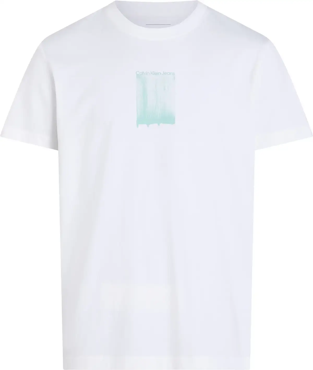 Calvin Klein BRUSH STROKE GRAPHIC, YAF Beyaz Erkek T-Shirt & Polo