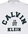 Calvin Klein SS 20S LN CALVIN COLLEGE GRAPHIC Erkek Beyaz T-Shirt
