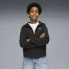 Puma EVOSTRIPE Full-Zip Hoodie Siyah Unisex Sweatshirt