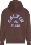 Calvin Klein LS WASHED PREMIUM VINTAGE LOGO F Erkek Kahverengi Fermuarlı Sweatshirt
