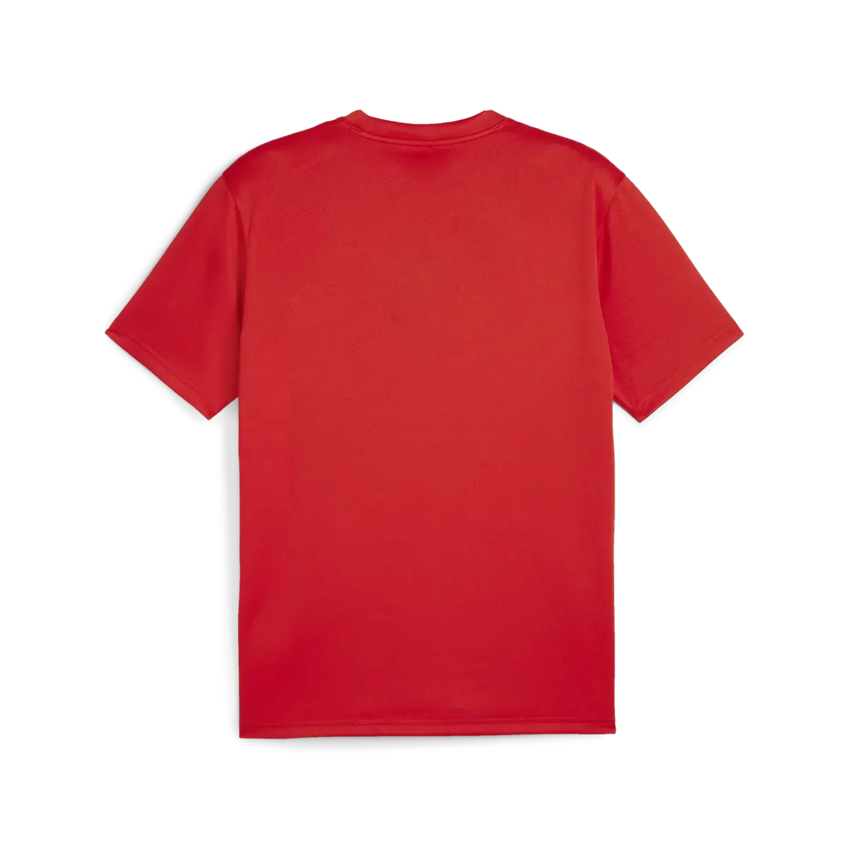 Puma teamGOAL Jersey Kırmızı Erkek T-Shirt